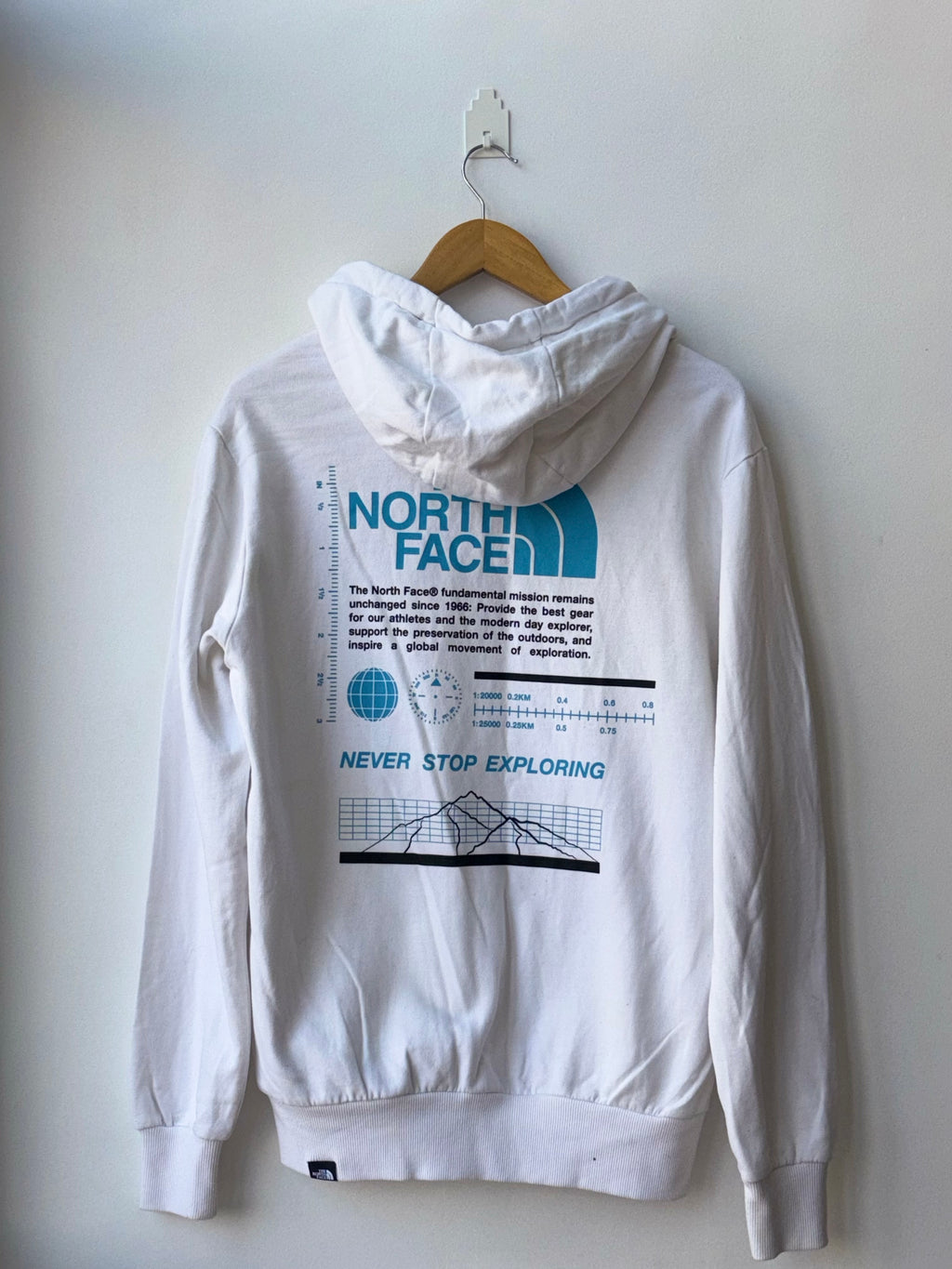 The north face Hoodie